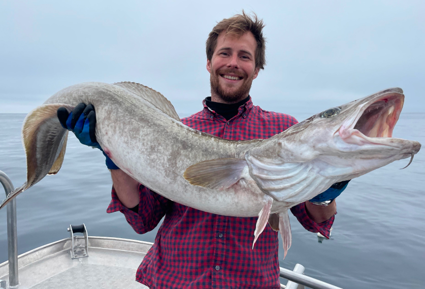 Guided fishing trip Vesterålen Apartment