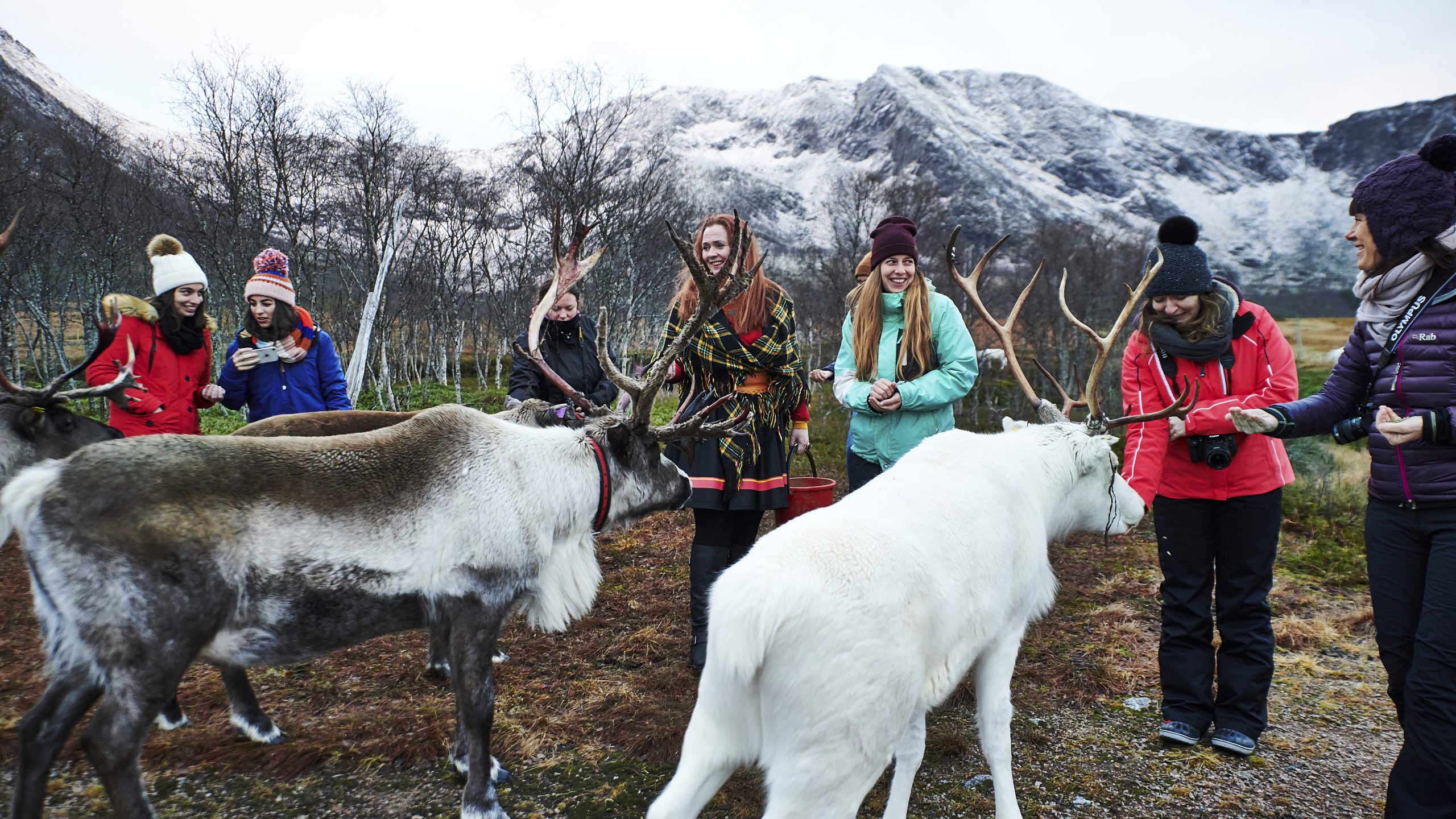 Reindeer sami culture at Vesterålen Apartments
